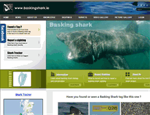 Tablet Screenshot of baskingshark.ie